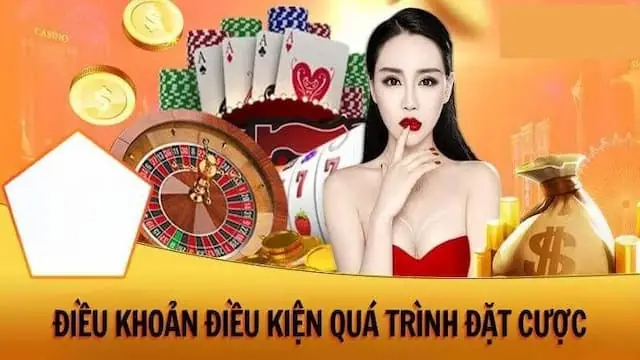 Hướng dẫn đọc hiểu điều khoản điều kiện nohu hiệu quả